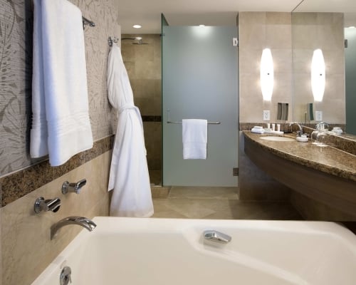 Guestroom Bathroom - Interior View with deep bathtub