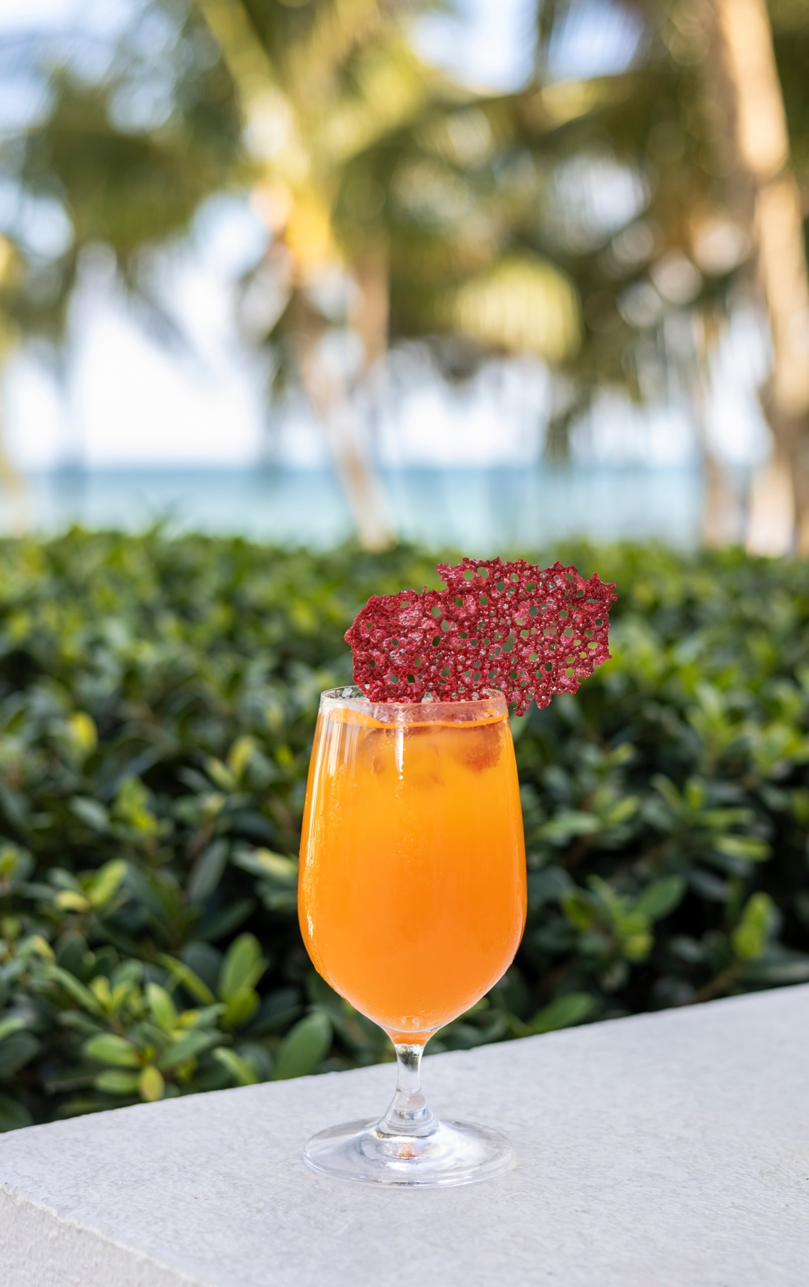 A vibrant orange cocktail in a hurricane glass, garnished with a dried berry crisp, set against a lush green hedge outdoors.