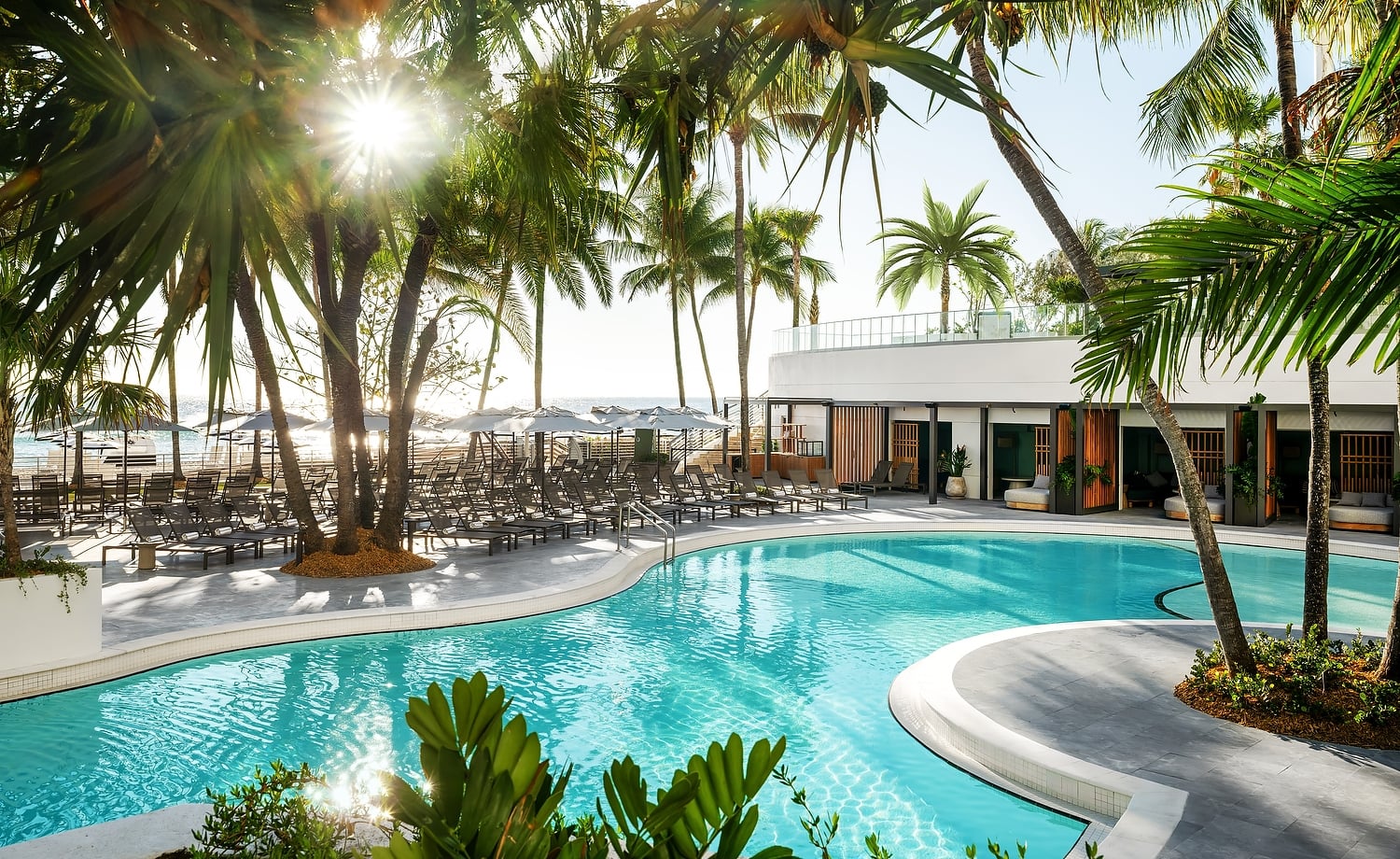 A resort pool gleams under sunshine, surrounded by numerous palm trees, lounge chairs, and a modern white building, with a distant beach and ocean visible.
