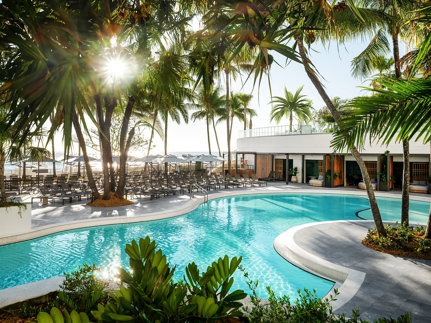 A resort pool gleams under sunshine, surrounded by numerous palm trees, lounge chairs, and a modern white building, with a distant beach and ocean visible.