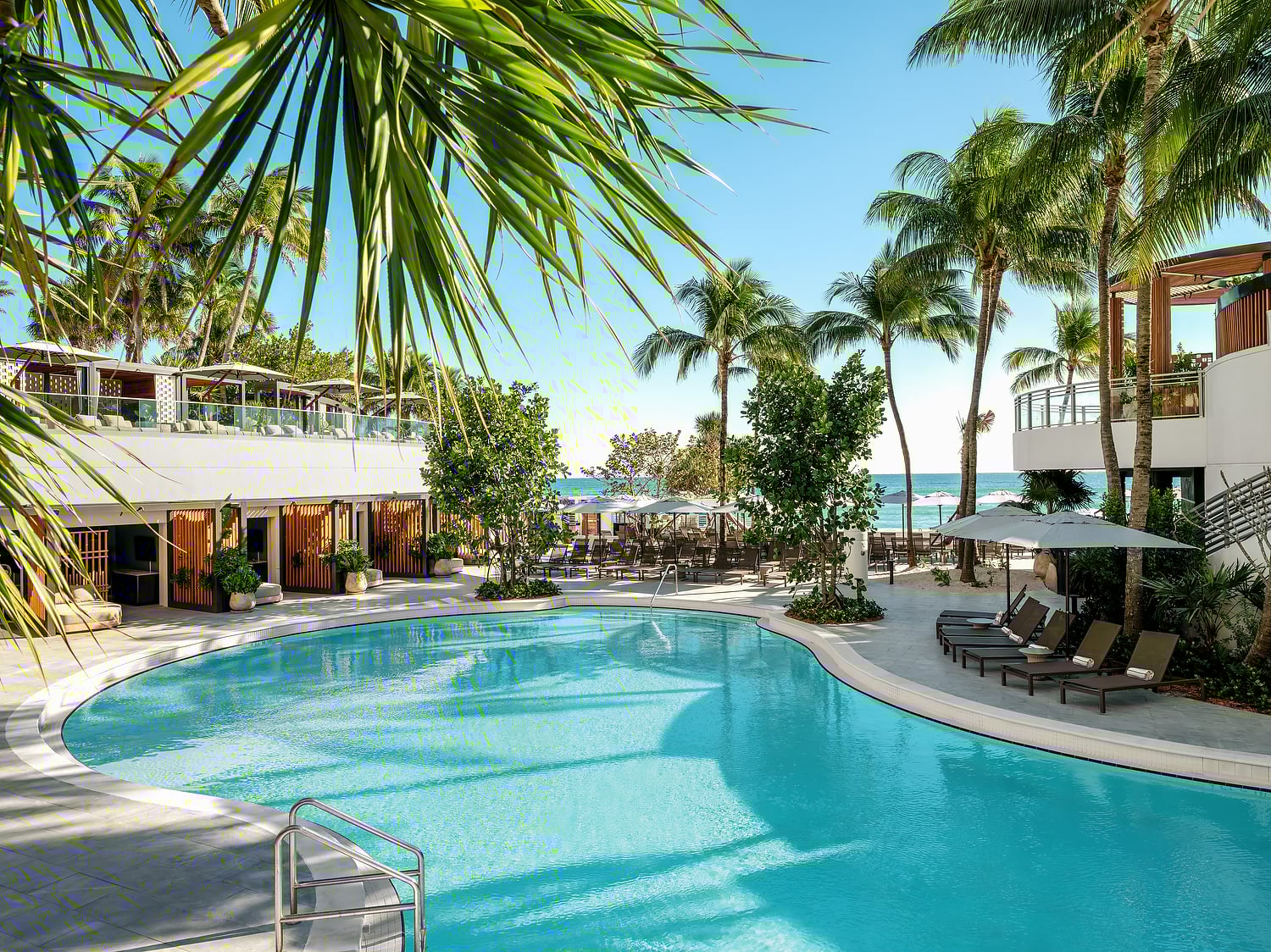 Palm fronds frame a curvilinear swimming pool at a sunny resort, surrounded by lounge chairs and modern buildings, with a sandy beach and ocean beyond.
