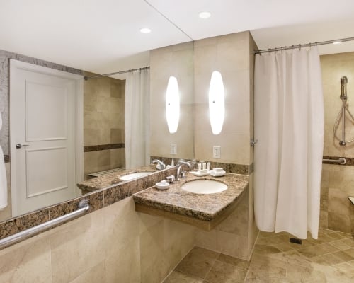 Guestroom Bathroom with Accessible Roll-In Shower
