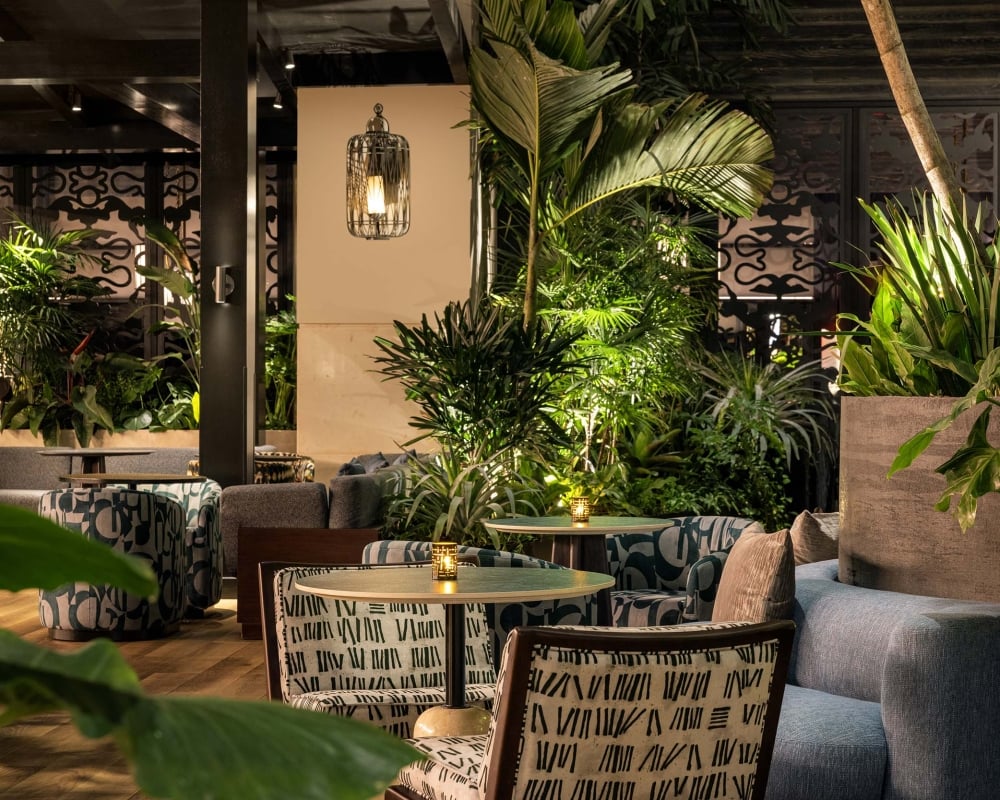 Restaurant interior featuring round tables with small lamps, varied seating, and lush green plants. Warm lighting illuminates the space, which includes dark ornate screens and wooden floors.