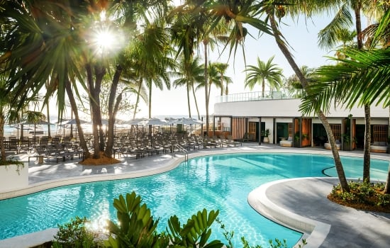 Lower Lagoon Pool with palm trees overhead