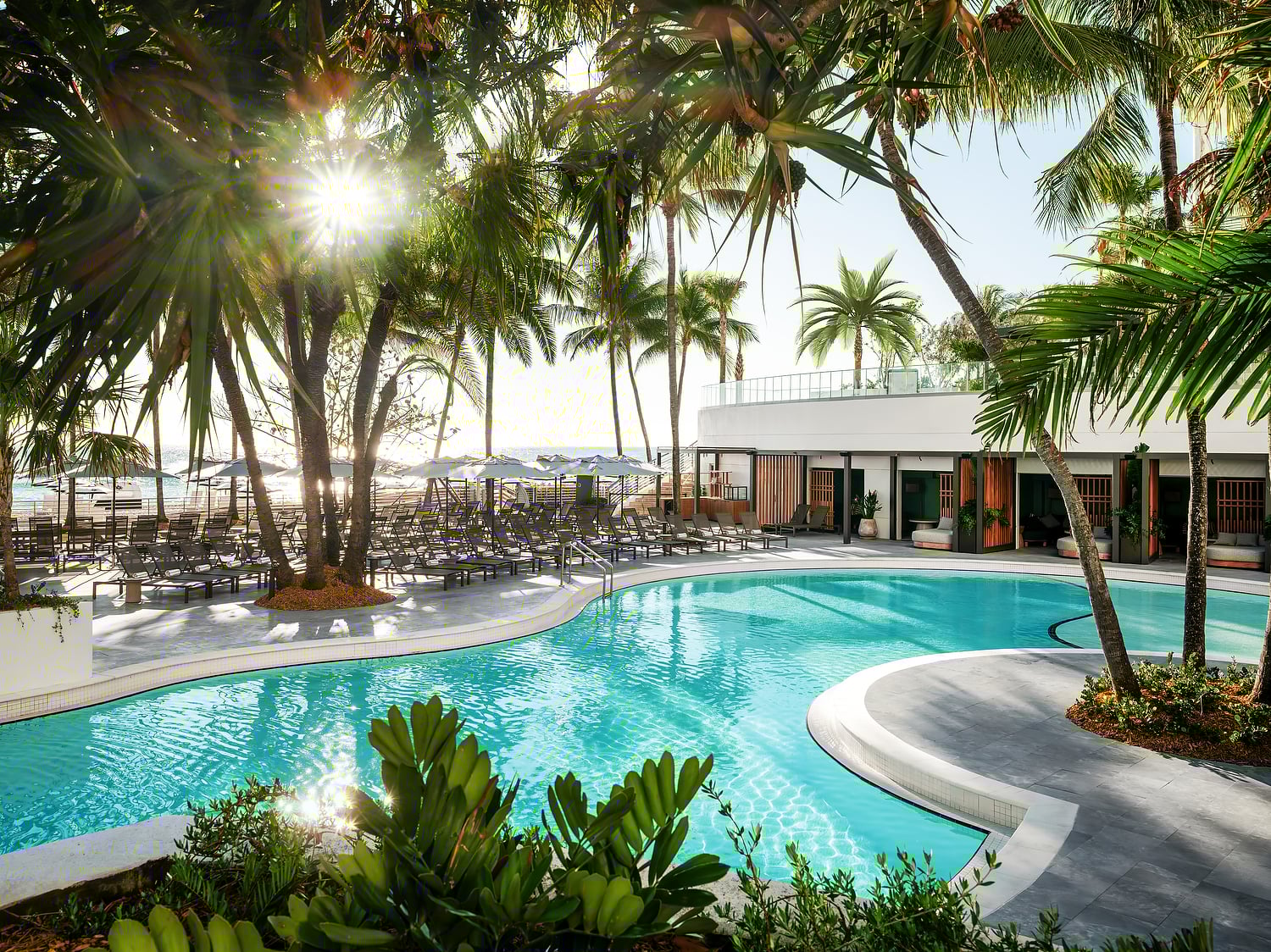 Lower Lagoon Pool with palm trees overhead