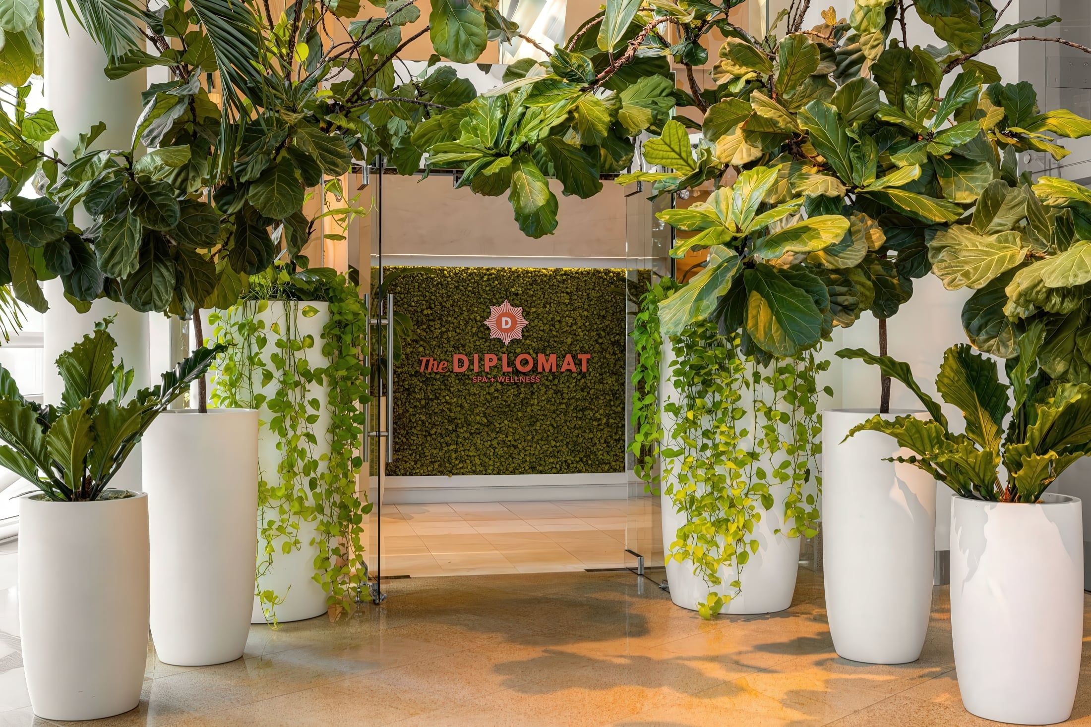 A modern entrance features glass doors and a green moss wall displaying an orange 'D' logo and "The DIPLOMAT SPA + WELLNESS". Lush potted plants frame the doorway on a polished floor.
